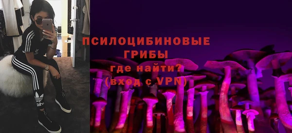 мескалин Алексин