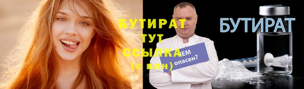 шишки Дубна